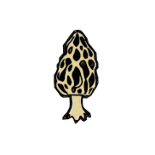Morel